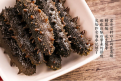 海參哪里買的最放心，怎么才能買到真海參