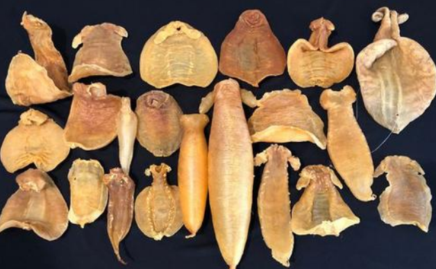 花膠有收藏價值嗎,為什么要收藏花膠