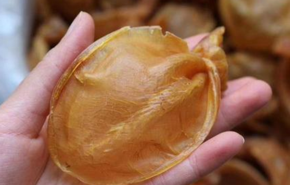 給大家普及下金龍魚膠和黃花魚膠哪個好