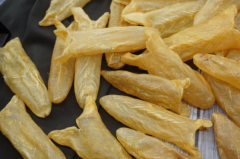 聊一聊心肌缺血可以吃魚膠補血嗎