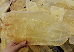 透露花膠泡好了放急凍可以放多久