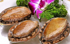 告訴大家鮑魚怎么做不腥味