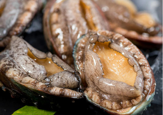 怎樣做鮑魚鮮嫩又好吃