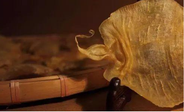 鮮魚泡能代替魚膠嗎，算不算魚膠