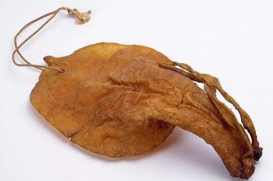 廣東花膠哪里產的最好