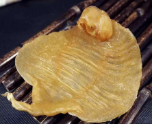 小編來告訴大家生理期為什么不能吃花膠