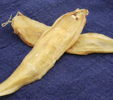 孕期吃花膠還是燕窩好