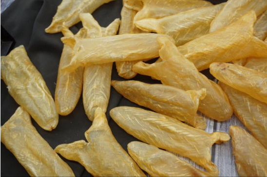 鰻魚膠哪里產地好