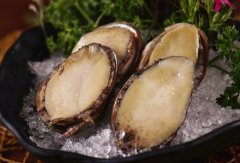 跟大家說下常吃鮑魚的好處與壞處