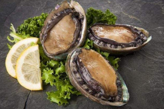 常吃鮑魚的好處與壞處