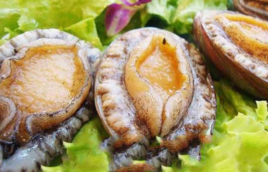 常吃鮑魚的好處與壞處