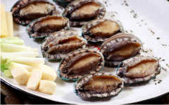揭秘:吃鮑魚能增加性功能嗎