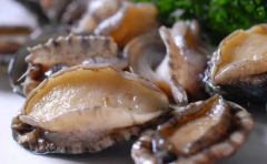 給大家普及下鮑魚對腎陽虛有用嗎