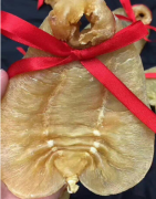 跟大家說下金龍魚膠好還是赤嘴