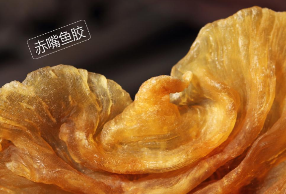 赤嘴魚膠的尾巴可以吃嗎