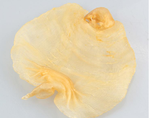 赤嘴魚膠怎么燉效果好
