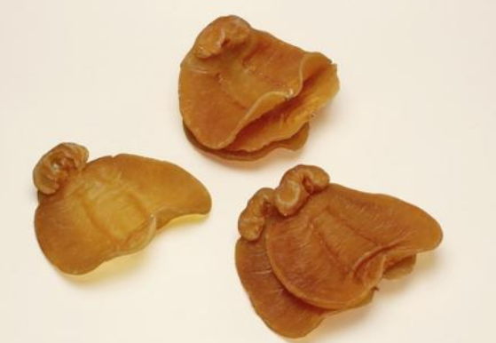 赤嘴魚膠怎么燉效果好