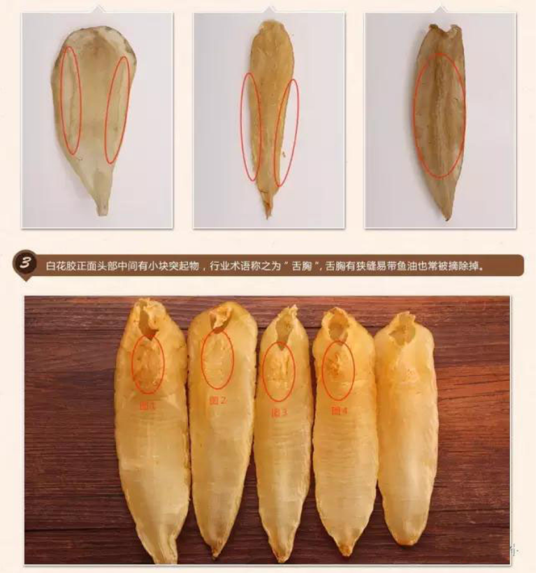 白花膠多少頭的比較好