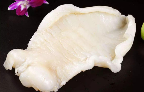 大口膠是屬于什么膠