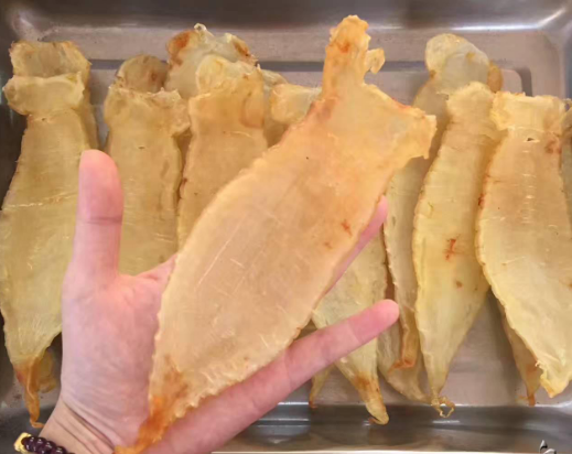 本港赤嘴魚膠好不好