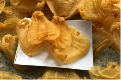 跟大家說下老魚膠有霉味正常嗎