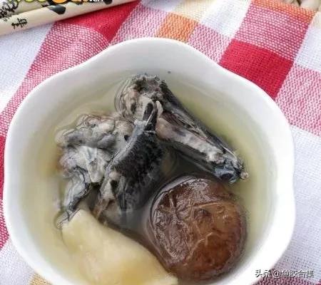 10種魚膠花膠做法，你試過幾種？