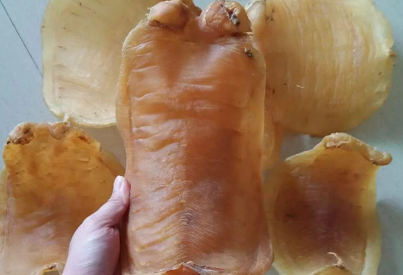 燉魚膠放多少水