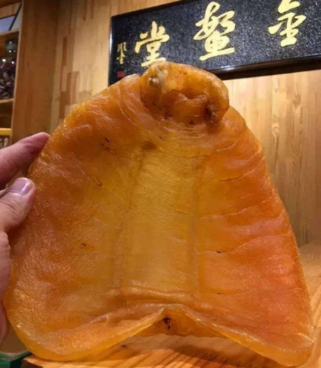 魚膠不能和什么一起燉