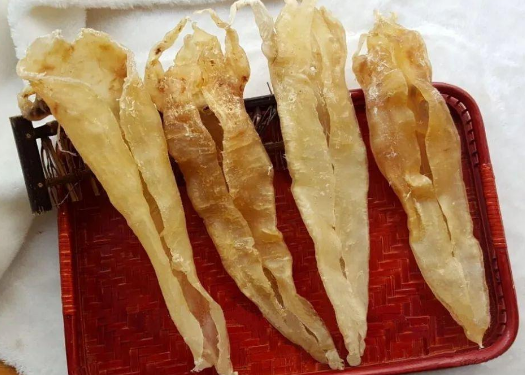 吃魚膠可以吃白蘿卜嗎
