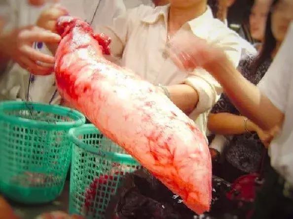 魚膠：水中燕窩，貴似黃金，曾高達280萬/斤