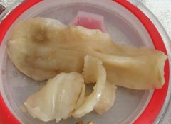 告訴大家麻魚膠功效和營養價值