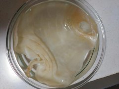 聊一聊花膠怎么泡發不流失營養