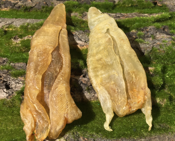 廣東花膠煲雞湯的做法