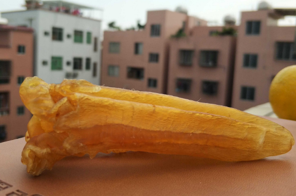 送花膠送哪一種