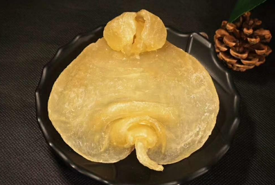 野生和養殖湛江赤嘴魚膠有什么區別呢