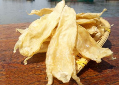 透露非洲黃花膠都是藥水貨嗎