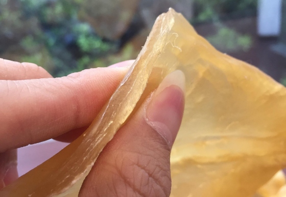 魚膠的泡發及做法