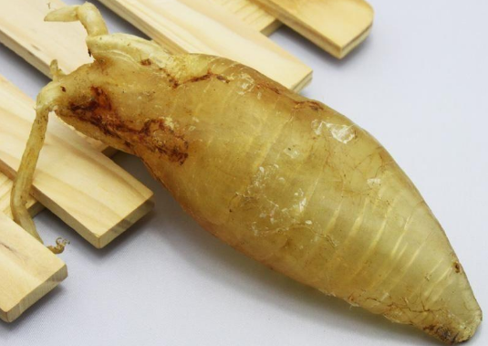 魚膠怎么炒好吃又簡單