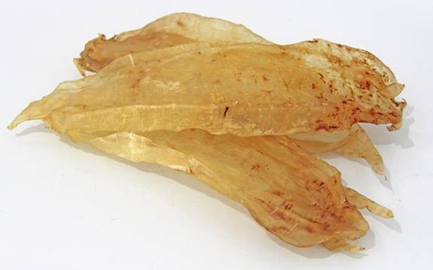 新鮮魚膠長什么樣子