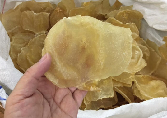 35頭黃花膠什么意思