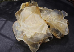 終于找到加州蝴蝶膠是什么魚
