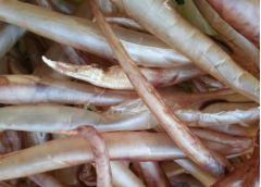 鰻魚膠是野生的嗎