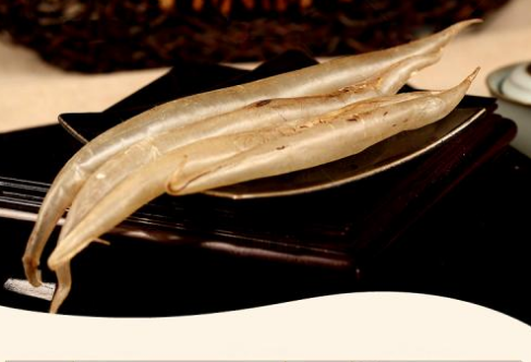 鰻魚膠是野生的嗎