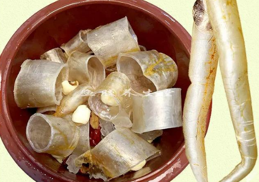 鰻魚膠是野生的嗎