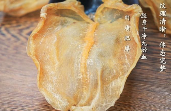 怎么聯系非洲賣魚膠的