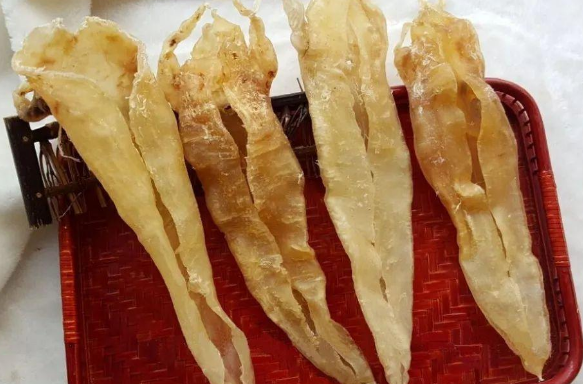 陰陽魚膠是最差的嗎