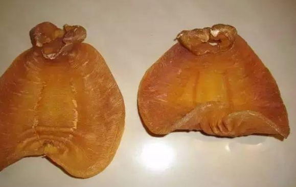 白鳘赤嘴魚膠的功效