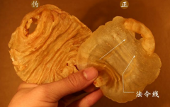 聊一聊白鳘魚膠是什么品種