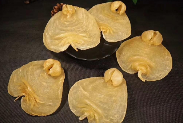白鳘魚膠是什么品種