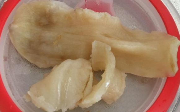 淡水魚魚泡算魚膠嗎
